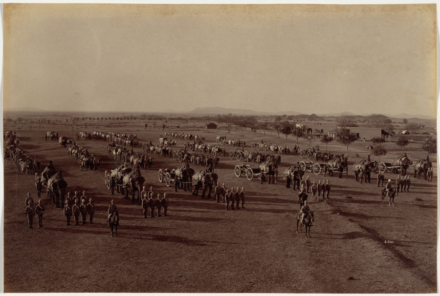 Elephant Battery on Parade