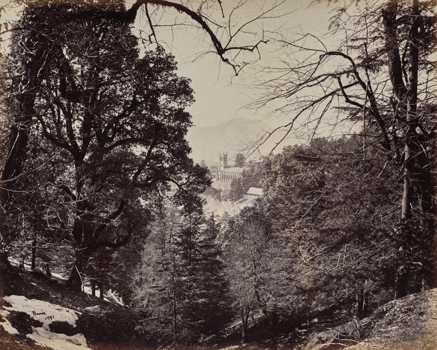 Shimla. The Church Through the Trees, from Jakko
