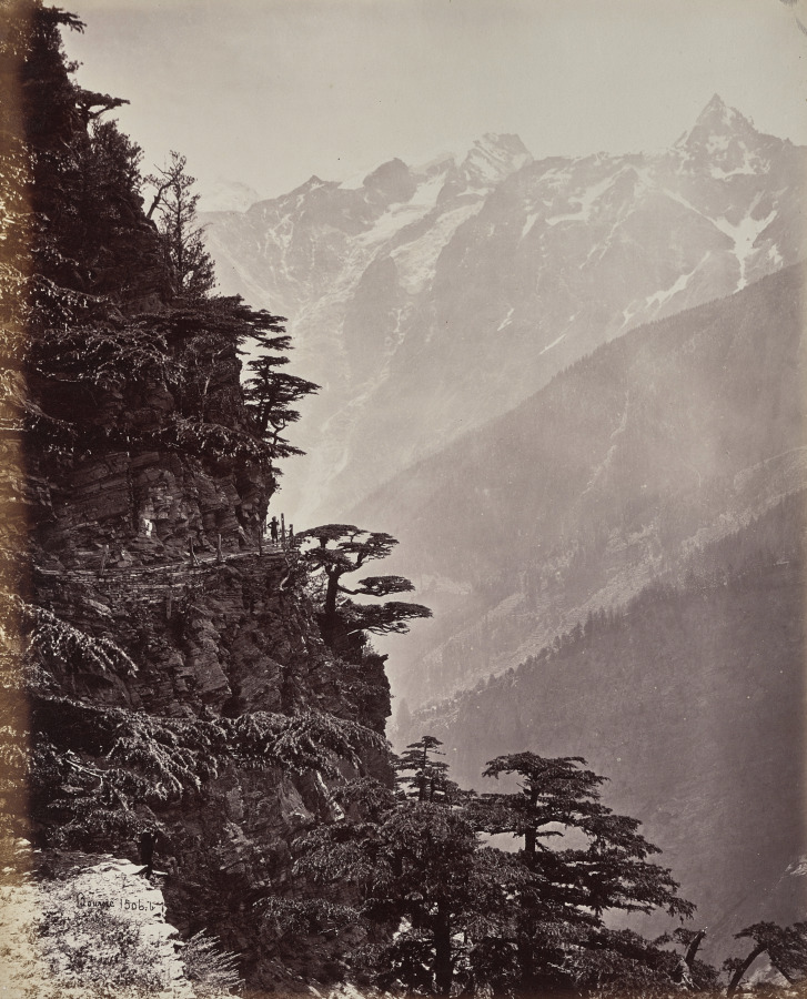 The Upper Himmalayahs. View on the New Road Near Rogi