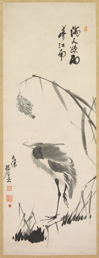 白鷺と蘆
