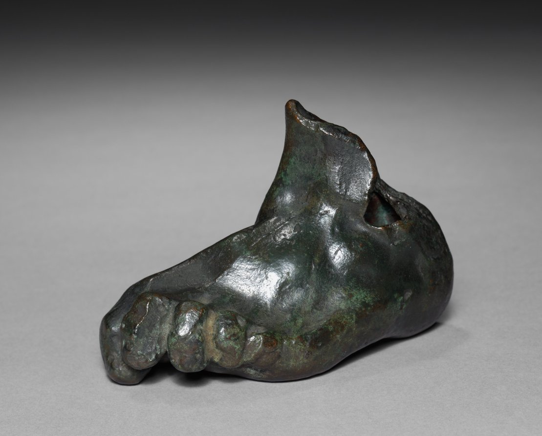 Model of a Foot (left foot)