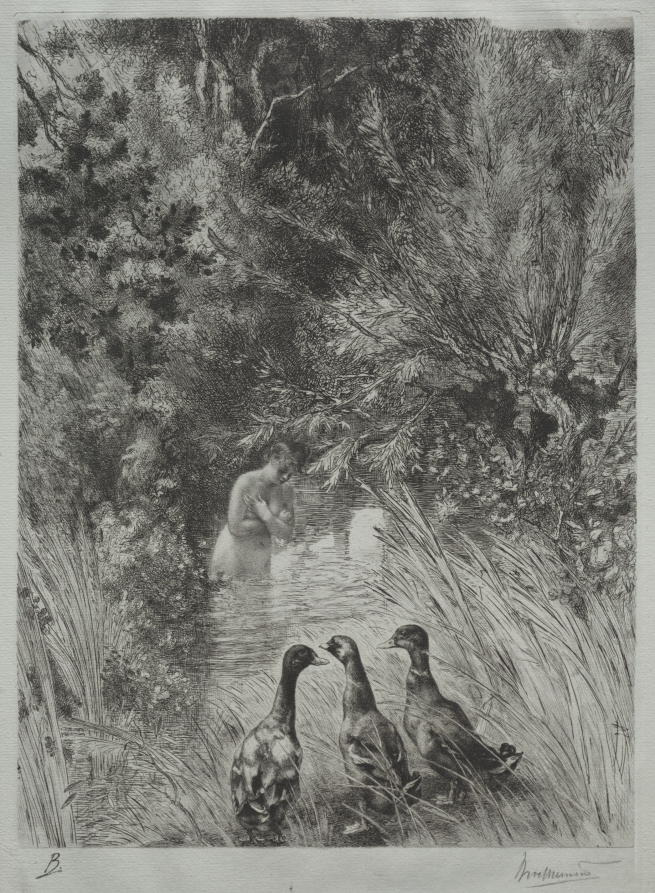 The Surprised Ducks