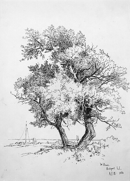 Willows, Bellport, Long Island