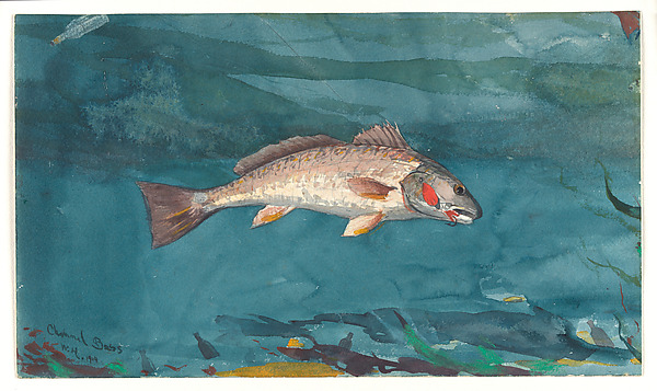 Channel Bass