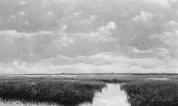 Marsh Grass