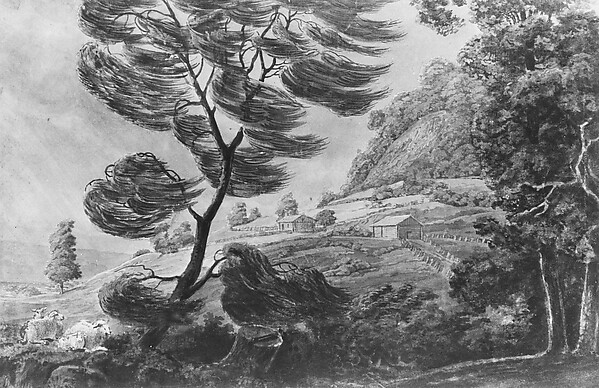 The Tornado