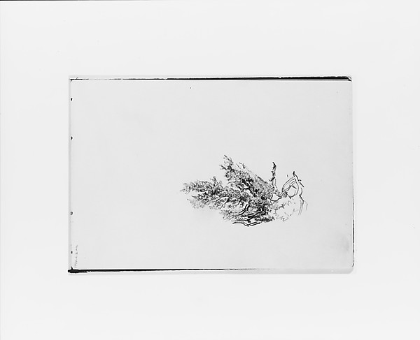 Nature Study (from Sketchbook X)