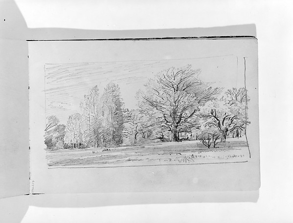 Landscape with Trees (from Sketchbook VII)