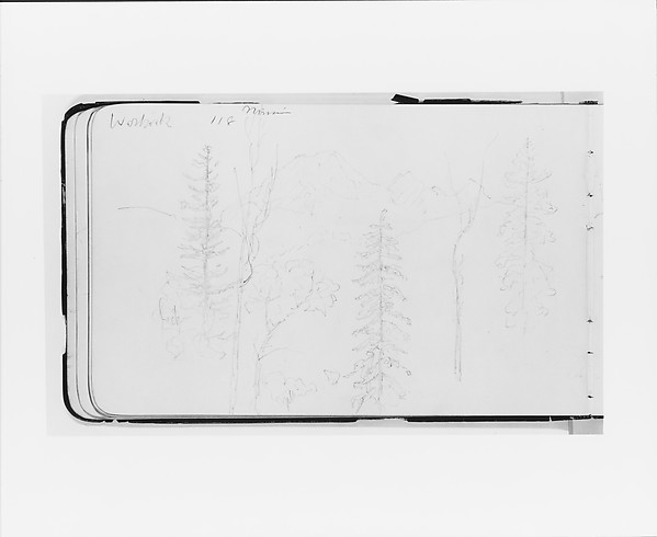 Mission (Warnock?): Landscape with Mountains and Foreground Trees (from Sketchbook)