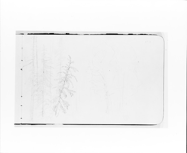Tree Landscape (from Sketchbook)