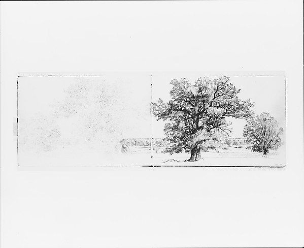 Outline of Trees and Terrain (from Sketchbook VII)