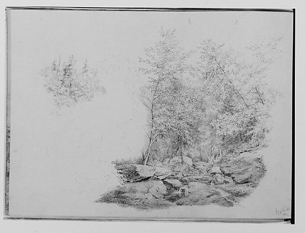 Catskill 1864: A Forest Stream (from Sketchbook)