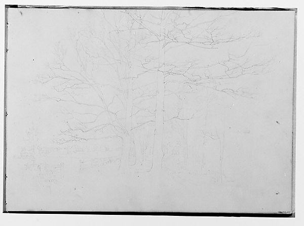 Trees Bordering a Farm Meadow (from Sketchbook)