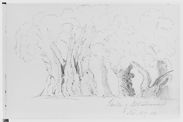 Garden of Gethsemane, 1904 (from Sketchbook)