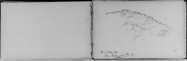 Top of Pine Hill, Walton, 1871 (from Sketchbook)