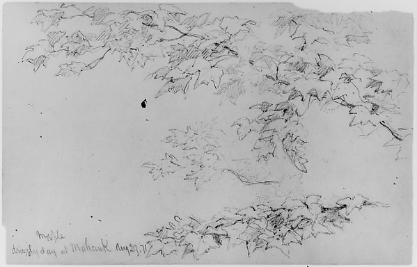 Maple Leaves, 1871 (from Sketchbook)