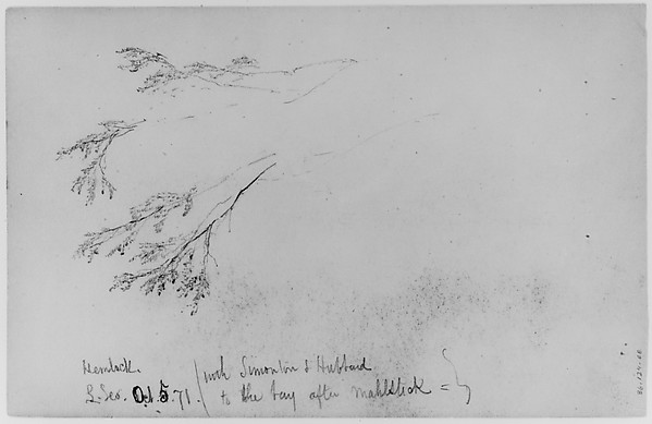 Study of Hemlock, 1871 (from Sketchbook)