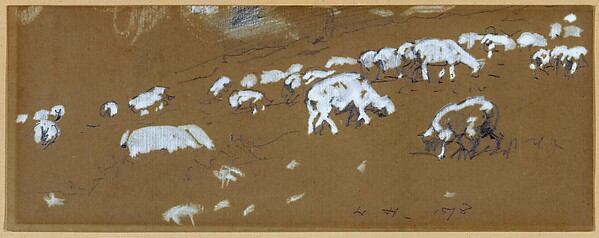 Sheep