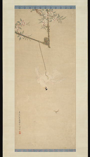 Cockatoo