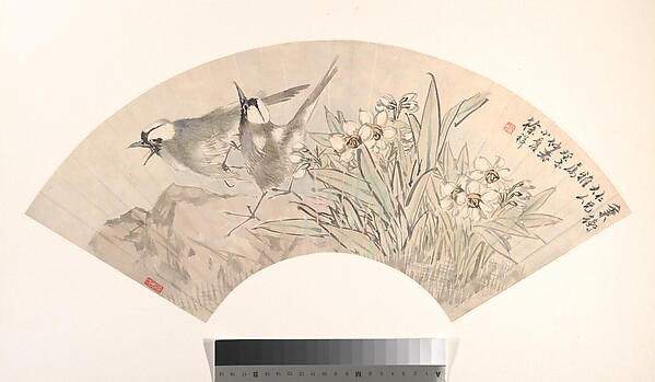 Birds and Narcissus