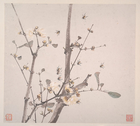 Insects and Flowers