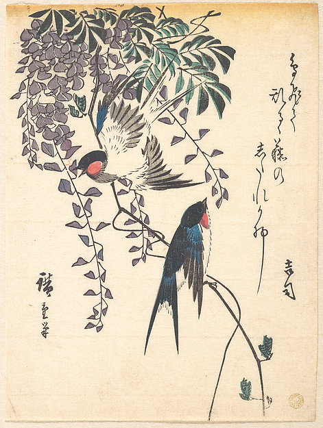 Swallow and Wisteria