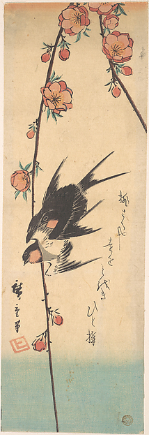 Pear Blossoms and Swallows
