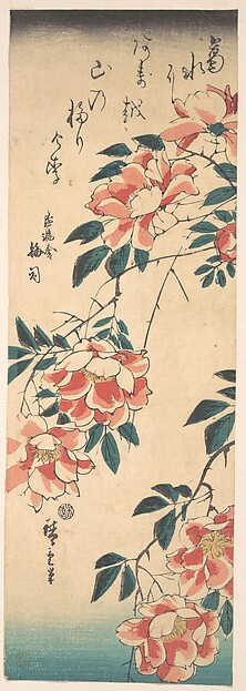 Roses