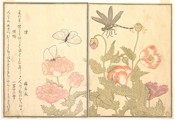 Butterfly (Chō); Dragonfly (Kagerō or Tonbo), from the Picture Book of Crawling Creatures (Ehon mushi erami)