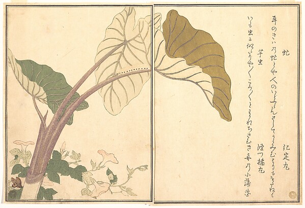 Horsefly (abu); Green Caterpillar, imomushi, from the Picture Book of Crawling Creatures (Ehon mushi erami)