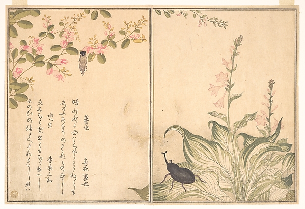 Bagworm (Minomushi); Horned Scarab Beetle (Kabutomushi), from the Picture Book of Crawling Creatures (Ehon mushi erami)