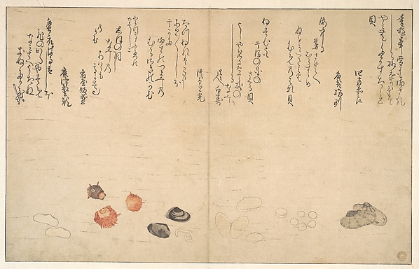 Shells under Water