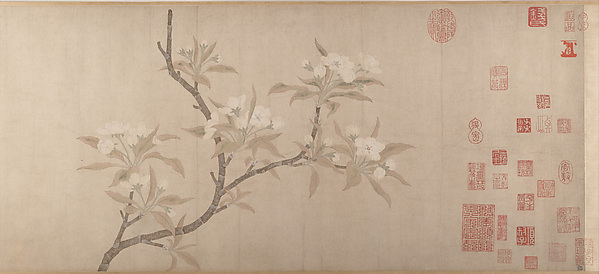 Pear Blossoms