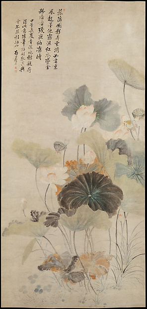 Lotuses on a summer evening