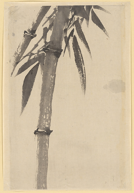 Bamboo