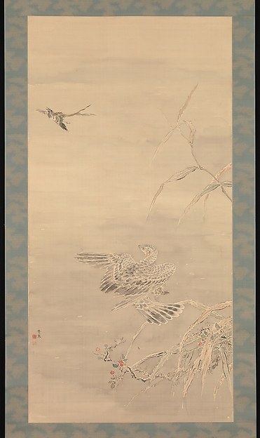 Hawk Grasping a Small Bird