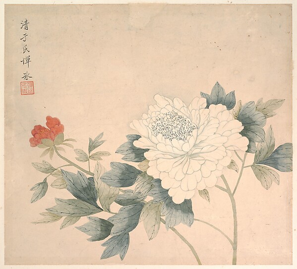 花の習作