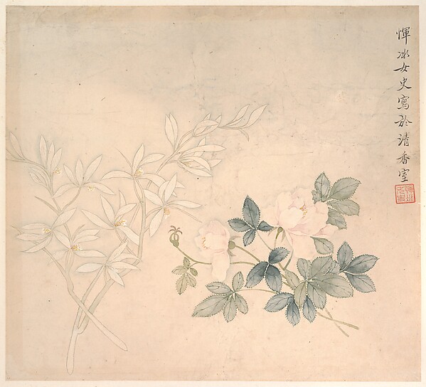 花の習作