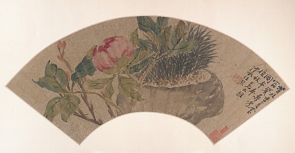 牡丹