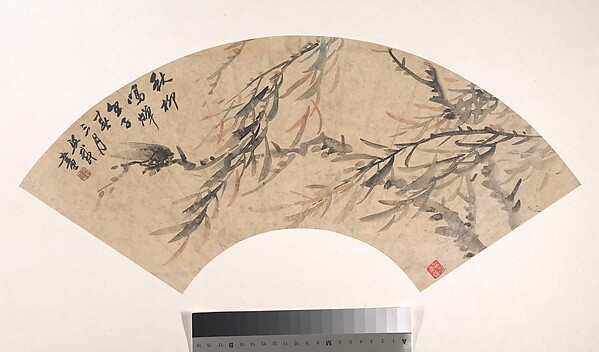蝉