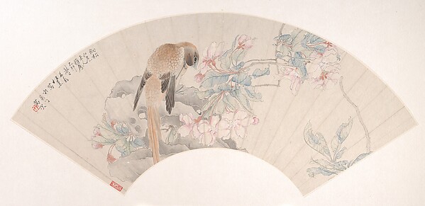 花枝のそばの岩上の鳥