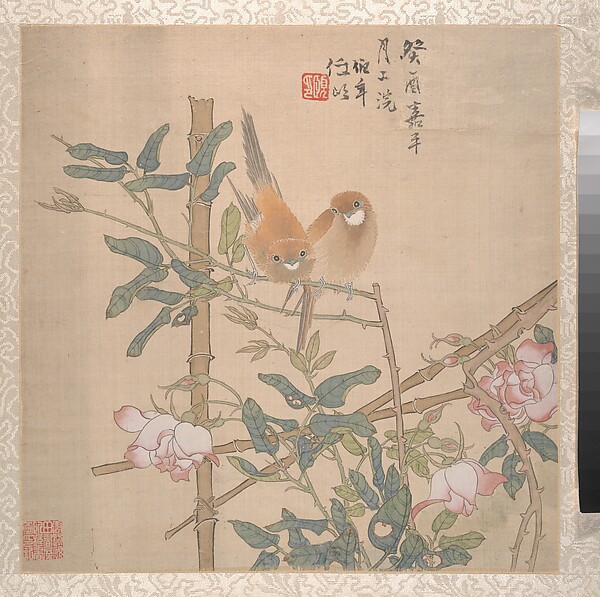 花咲く薔薇の茂みに止まる二羽の鳥