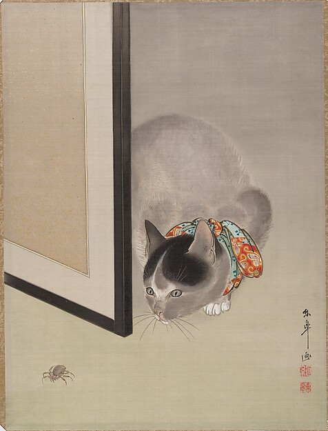 蜘蛛を見る猫