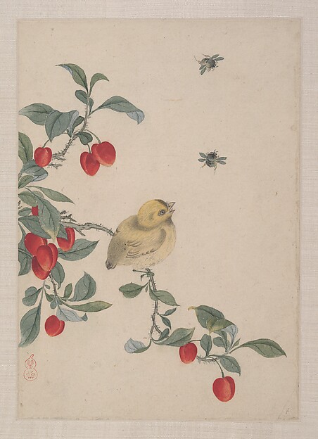 花と鳥と虫
