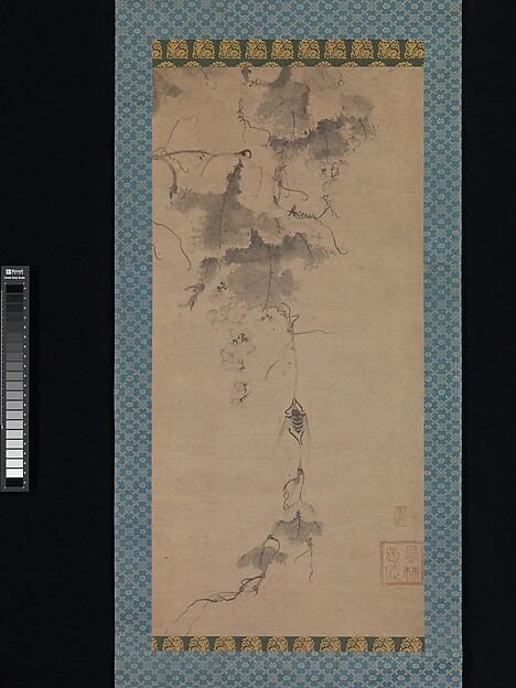 葡萄に蝉