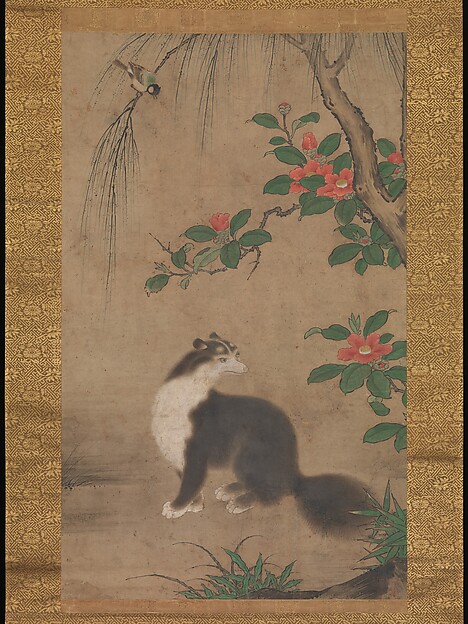 麝香猫