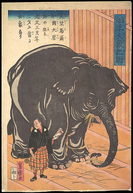 渡来した大象の図