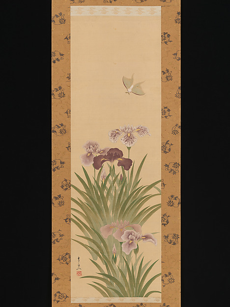 燕子花と蛾