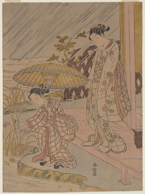 雨中の菖蒲見
