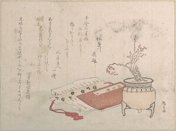花咲く鉢植えの梅と書物
